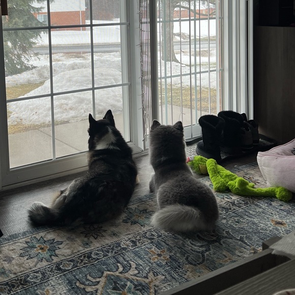 ERICA IS LIVE !! JOIN ME !🩷 - Picture 3 of 6